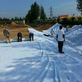 人工湖、人工河道防滲復(fù)合土工膜