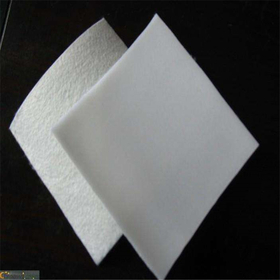 復(fù)合土工膜【一布一膜】